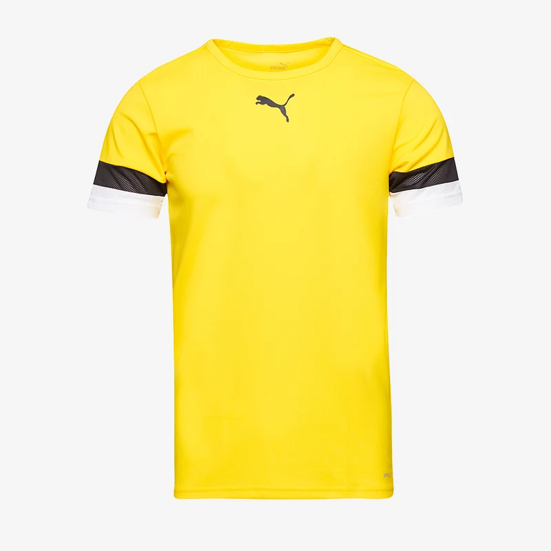 Puma teamRISE SS Shirt