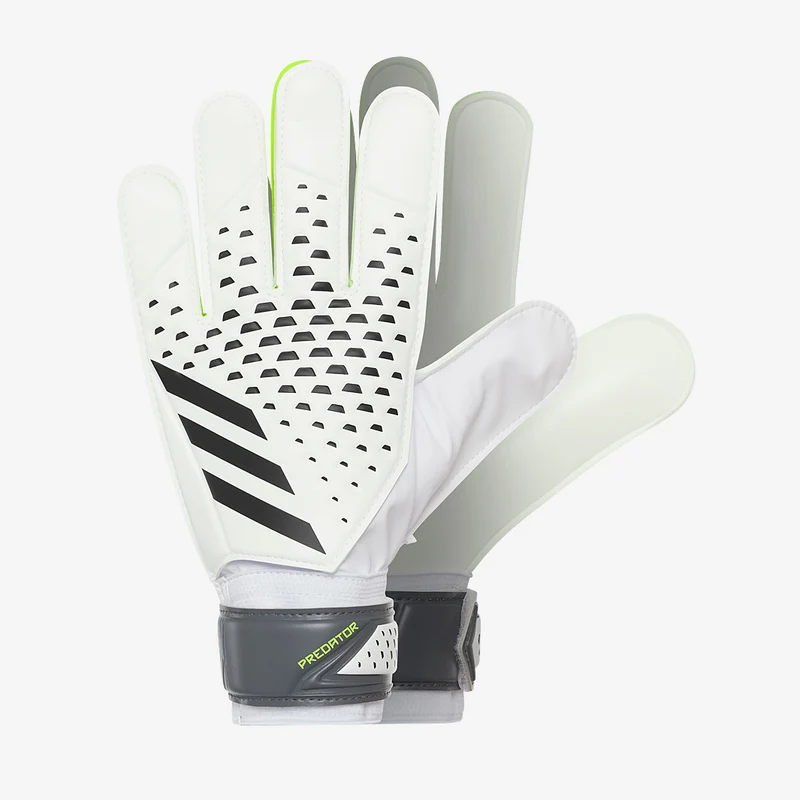 adidas Predator Training