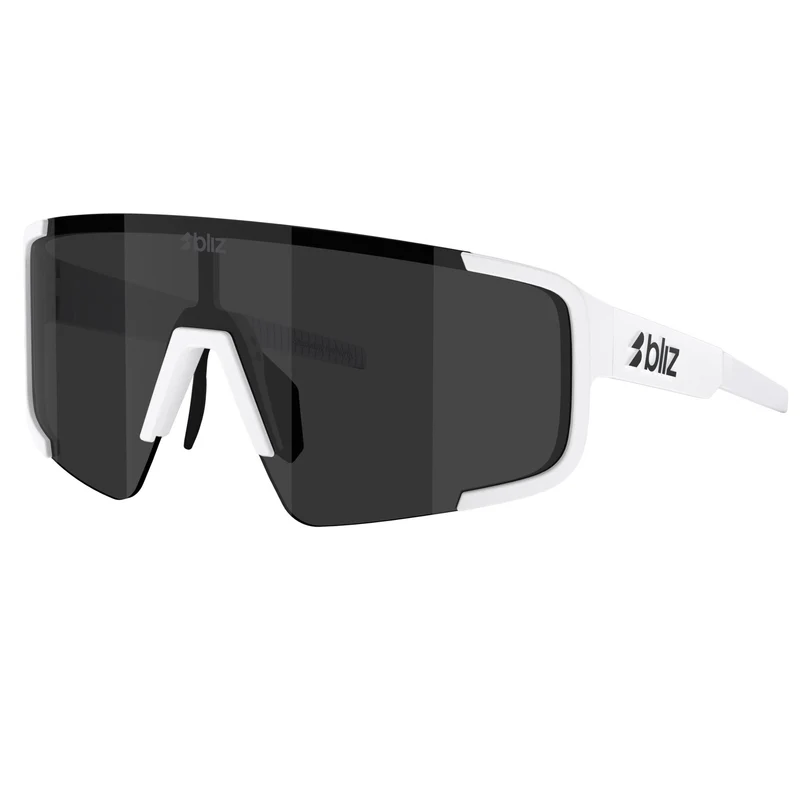 P003S Sunglasses
