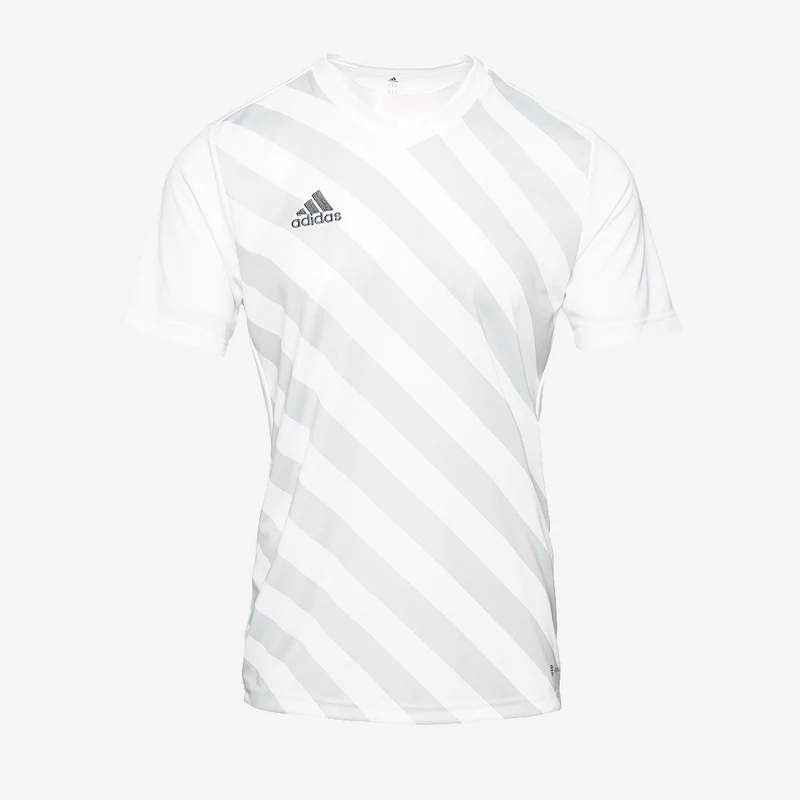 adidas Entrada 22 GFX Shirt