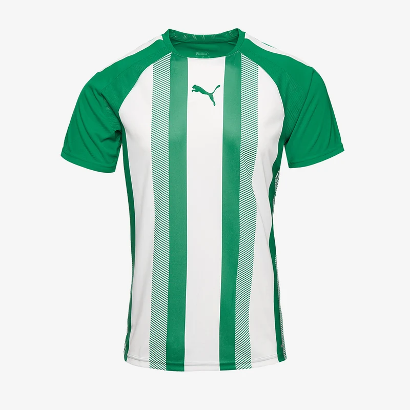 Puma Team Liga Striped Shirt