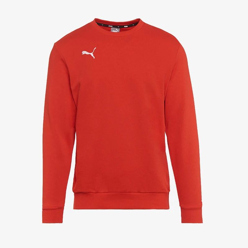 Puma Kinder Goal 23 Casuals Sweatshirt