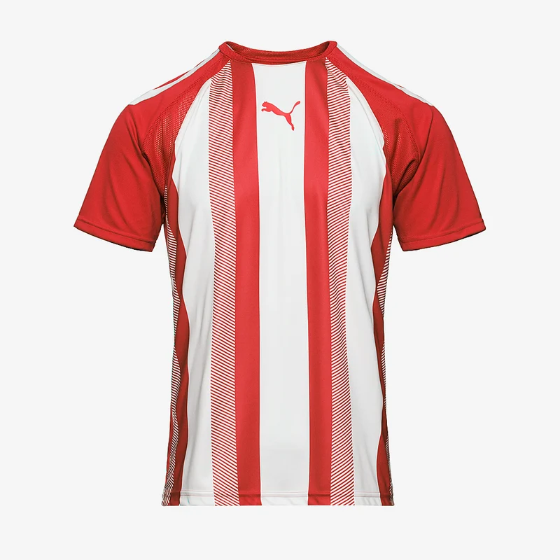 Puma Kinder Team Liga Striped Shirt