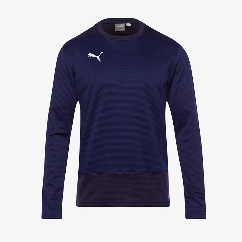 Puma Kinder Goal 23 Training Sweat