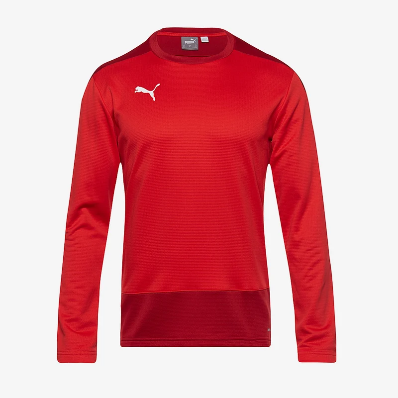 Puma Kinder Goal 23 Training Sweat