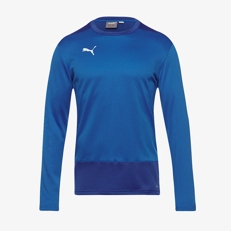 Puma Kinder Goal 23 Training Sweat