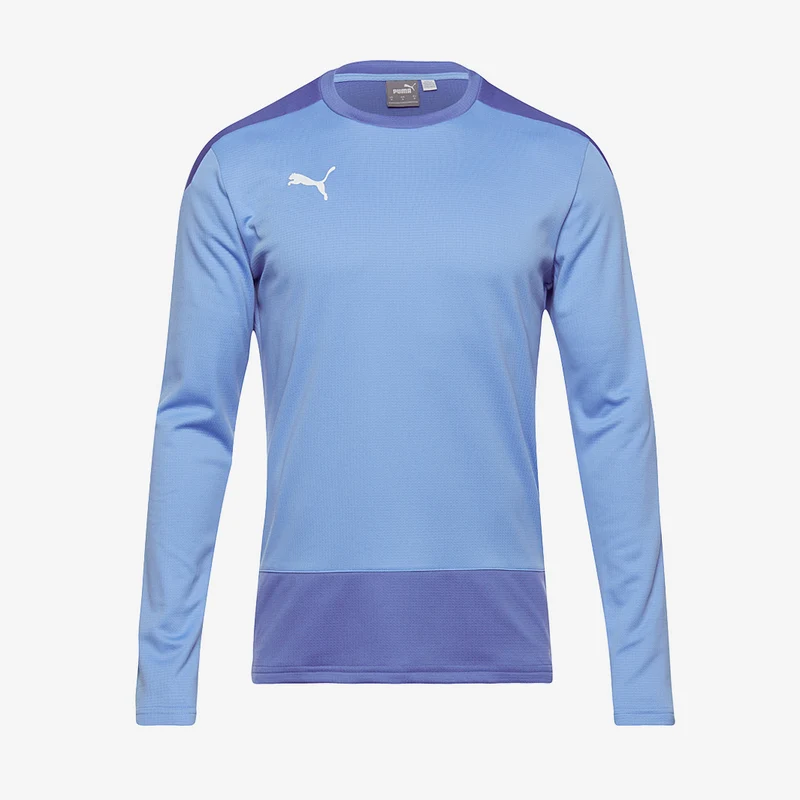 Puma Kinder Goal 23 Training Sweat