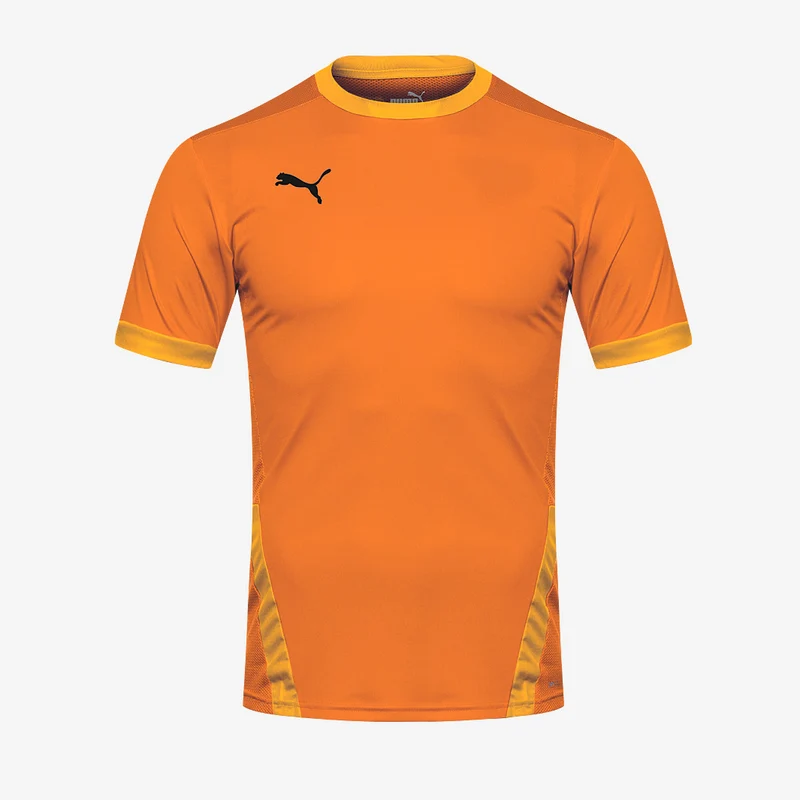 Puma Goal 23 Shirt