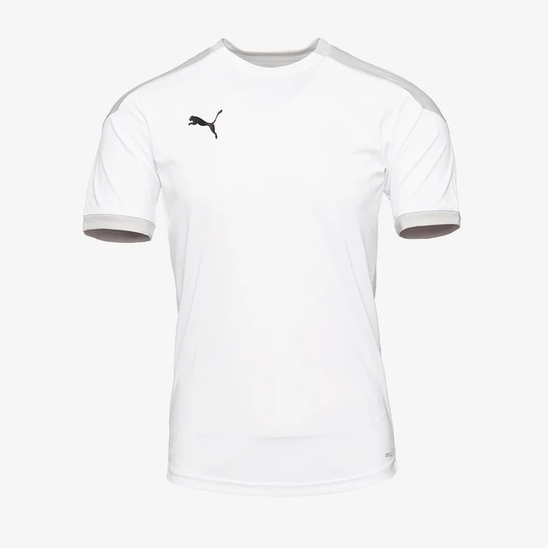 Puma Final 21 Training Jersey