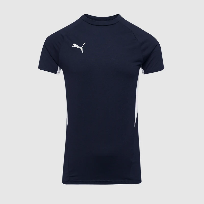 Puma teamEVOSTRIPE 25 Slim T-Shirt