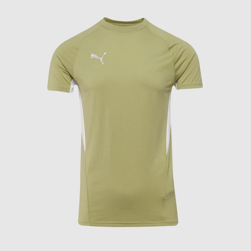 Puma teamEVOSTRIPE 25 Slim T-Shirt