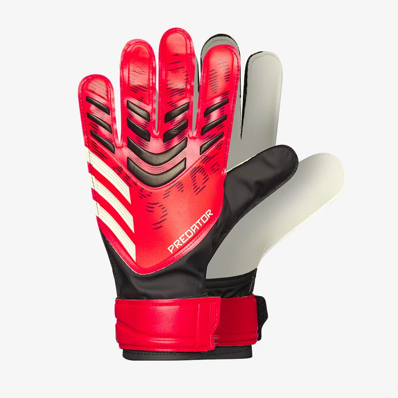 adidas Predator Training