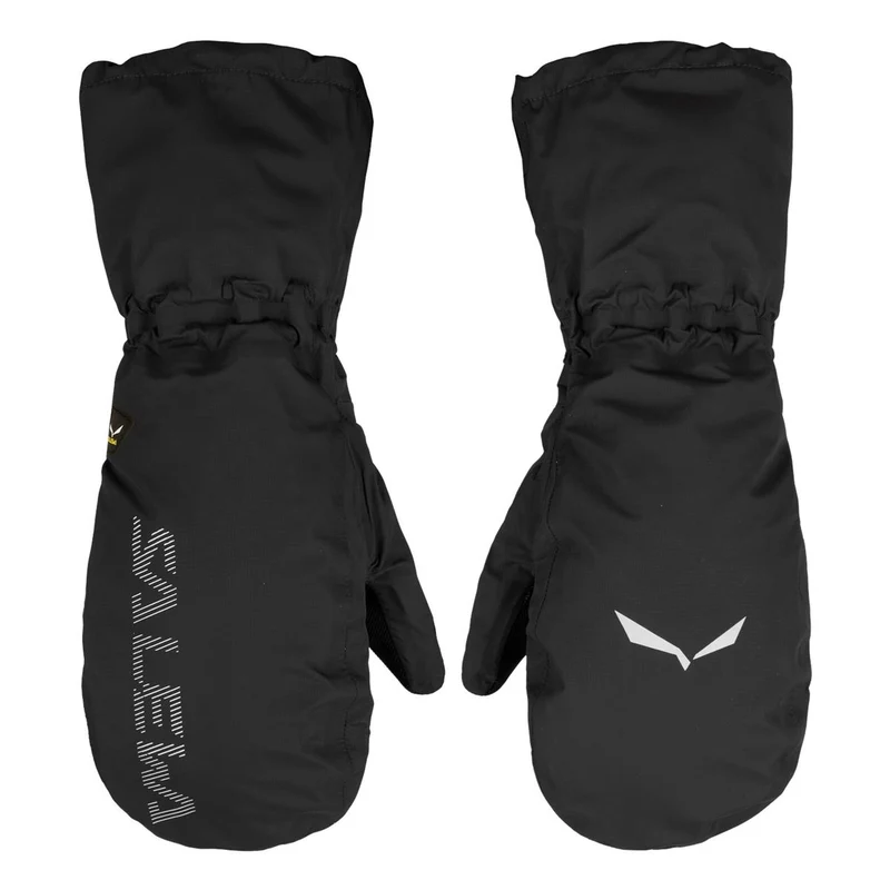 Salewa Ortles PTX 3L Overmitten